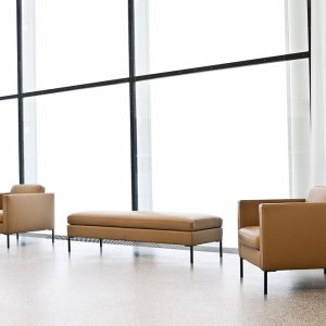 LACIVIDINA - anytime